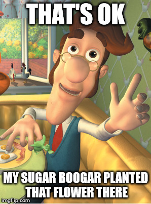 THAT'S OK MY SUGAR BOOGAR PLANTED THAT FLOWER THERE | made w/ Imgflip meme maker