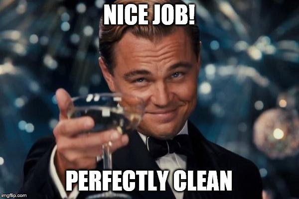 Leonardo Dicaprio Cheers Meme | NICE JOB! PERFECTLY CLEAN | image tagged in memes,leonardo dicaprio cheers | made w/ Imgflip meme maker