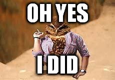 Oh Yes I Did | OH YES; I DID | image tagged in sassy owl,sass,owl | made w/ Imgflip meme maker