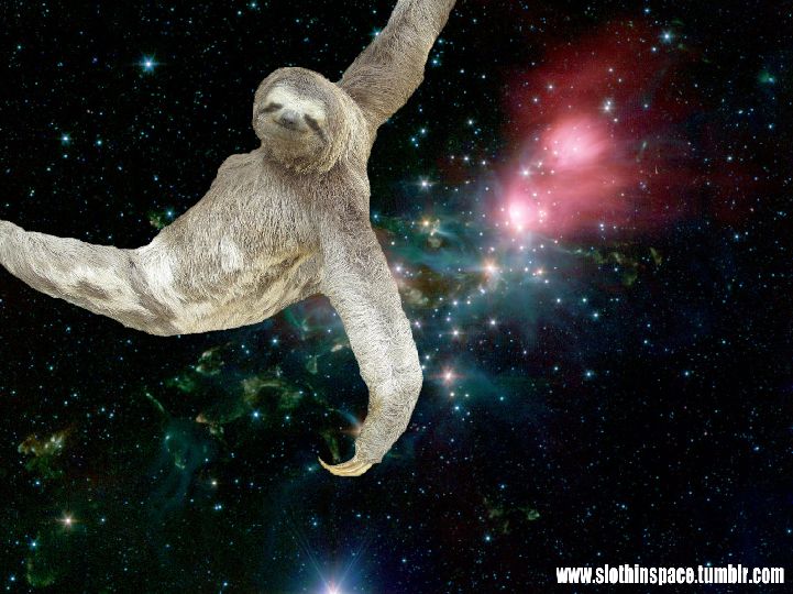High Quality sloth in space Blank Meme Template. sloth in space Blank Meme ...