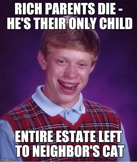 Bad Luck Brian | RICH PARENTS DIE - HE'S THEIR ONLY CHILD; ENTIRE ESTATE LEFT TO NEIGHBOR'S CAT | image tagged in memes,bad luck brian | made w/ Imgflip meme maker