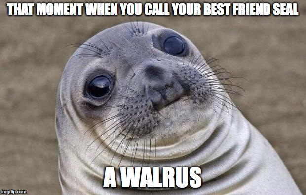 Seal does not approve | THAT MOMENT WHEN YOU CALL YOUR BEST FRIEND SEAL; A WALRUS | image tagged in memes,awkward moment sealion,is he even a sealion,funny memes,walrus | made w/ Imgflip meme maker