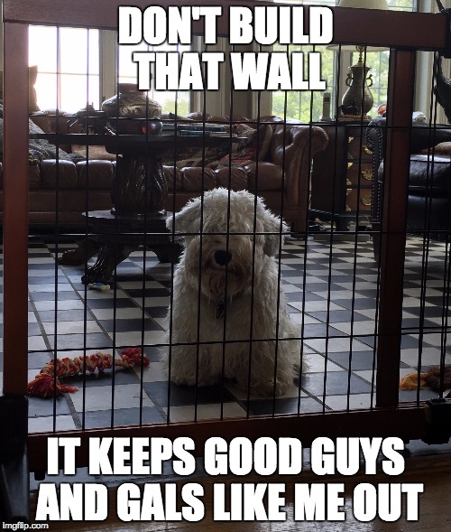 Don't Build That Wall | DON'T BUILD THAT WALL; IT KEEPS GOOD GUYS AND GALS LIKE ME OUT | image tagged in donald trump,mexico,fence aka border wall | made w/ Imgflip meme maker