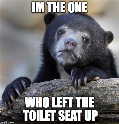 Im the One#2 | IM THE ONE; WHO LEFT THE TOILET SEAT UP | image tagged in memes,confession bear,serial memes | made w/ Imgflip meme maker