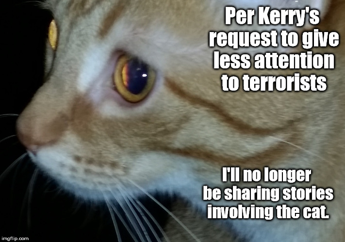 He is known as William Wallace the cat, aka Kitty Taliban | Per Kerry's request to give less attention to terrorists; I'll no longer be sharing stories involving the cat. | image tagged in cats,william wallace,kitty terrorist,funny meme | made w/ Imgflip meme maker