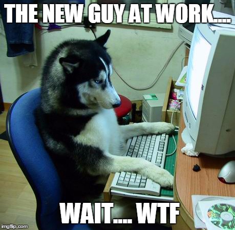 I Have No Idea What I Am Doing | THE NEW GUY AT WORK.... WAIT.... WTF | image tagged in memes,i have no idea what i am doing | made w/ Imgflip meme maker