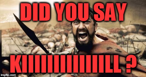 Sparta Leonidas Meme | DID YOU SAY KIIIIIIIIIIIIILL ? | image tagged in memes,sparta leonidas | made w/ Imgflip meme maker
