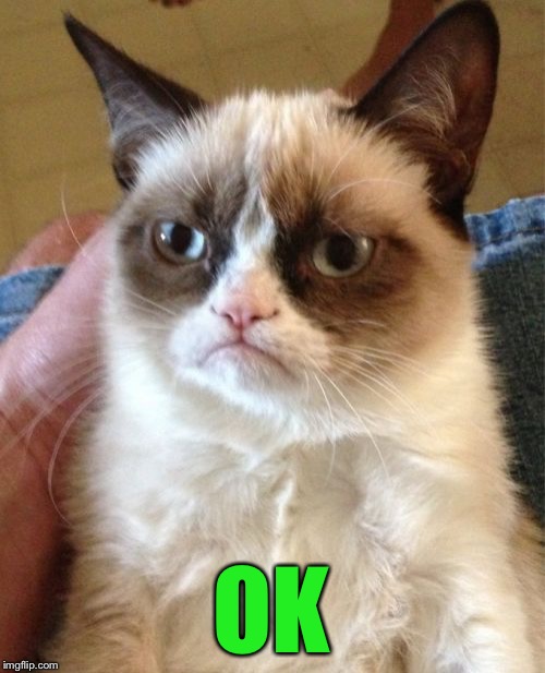 Grumpy Cat Meme | OK | image tagged in memes,grumpy cat | made w/ Imgflip meme maker