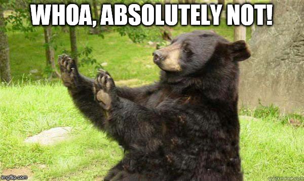 No Bear Blank | WHOA, ABSOLUTELY NOT! | image tagged in no bear blank | made w/ Imgflip meme maker