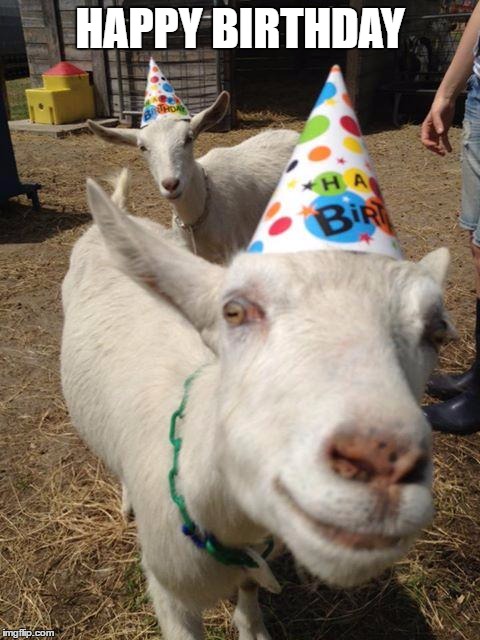 Goat Birthday | HAPPY BIRTHDAY | image tagged in goat birthday | made w/ Imgflip meme maker