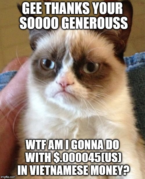 Grumpy Cat Meme | GEE THANKS YOUR SOOOO GENEROUSS WTF AM I GONNA DO WITH $.000045(US) IN VIETNAMESE MONEY? | image tagged in memes,grumpy cat | made w/ Imgflip meme maker