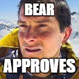 BEAR APPROVES | made w/ Imgflip meme maker