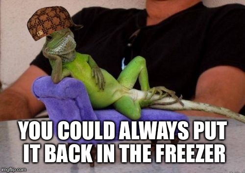 YOU COULD ALWAYS PUT IT BACK IN THE FREEZER | made w/ Imgflip meme maker