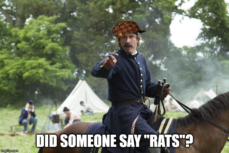 DID SOMEONE SAY "RATS"? | image tagged in civil war | made w/ Imgflip meme maker