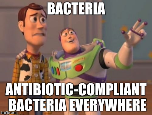 X, X Everywhere Meme | BACTERIA; ANTIBIOTIC-COMPLIANT BACTERIA EVERYWHERE | image tagged in memes,x x everywhere | made w/ Imgflip meme maker