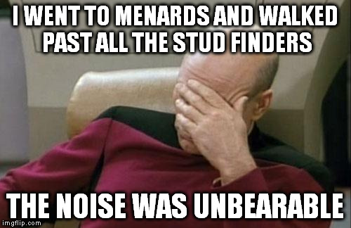 Captain Picard Facepalm Meme | I WENT TO MENARDS AND WALKED PAST ALL THE STUD FINDERS THE NOISE WAS UNBEARABLE | image tagged in memes,captain picard facepalm | made w/ Imgflip meme maker