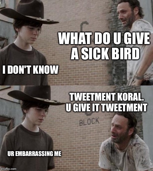 Rick and Carl Meme | WHAT DO U GIVE A SICK BIRD; I DON'T KNOW; TWEETMENT KORAL. U GIVE IT TWEETMENT; UR EMBARRASSING ME | image tagged in memes,rick and carl | made w/ Imgflip meme maker