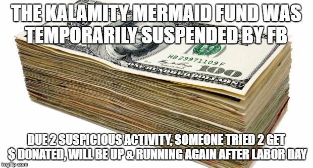 CASH | THE KALAMITY MERMAID FUND WAS TEMPORARILY SUSPENDED BY FB; DUE 2 SUSPICIOUS ACTIVITY, SOMEONE TRIED 2 GET $ DONATED, WILL BE UP & RUNNING AGAIN AFTER LABOR DAY | image tagged in cash | made w/ Imgflip meme maker