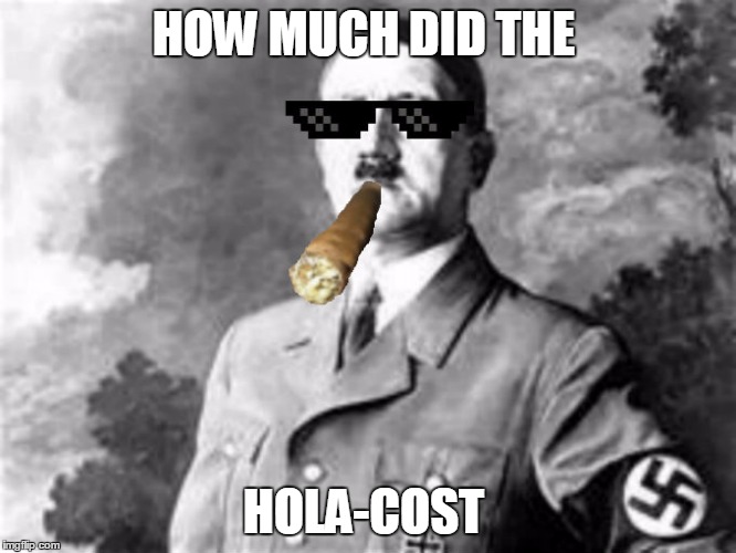 MLG Hitler | HOW MUCH DID THE; HOLA-COST | image tagged in mlg hitler | made w/ Imgflip meme maker
