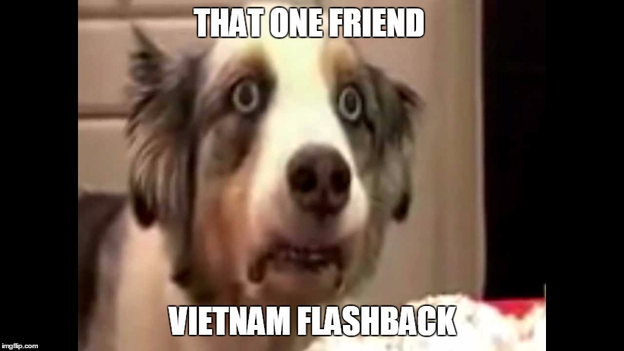 vietnam flashback dog | THAT ONE FRIEND; VIETNAM FLASHBACK | image tagged in vietnam flashback dog | made w/ Imgflip meme maker
