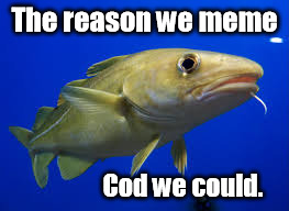 Raison d'etre | The reason we meme; Cod we could. | image tagged in cod,meme | made w/ Imgflip meme maker