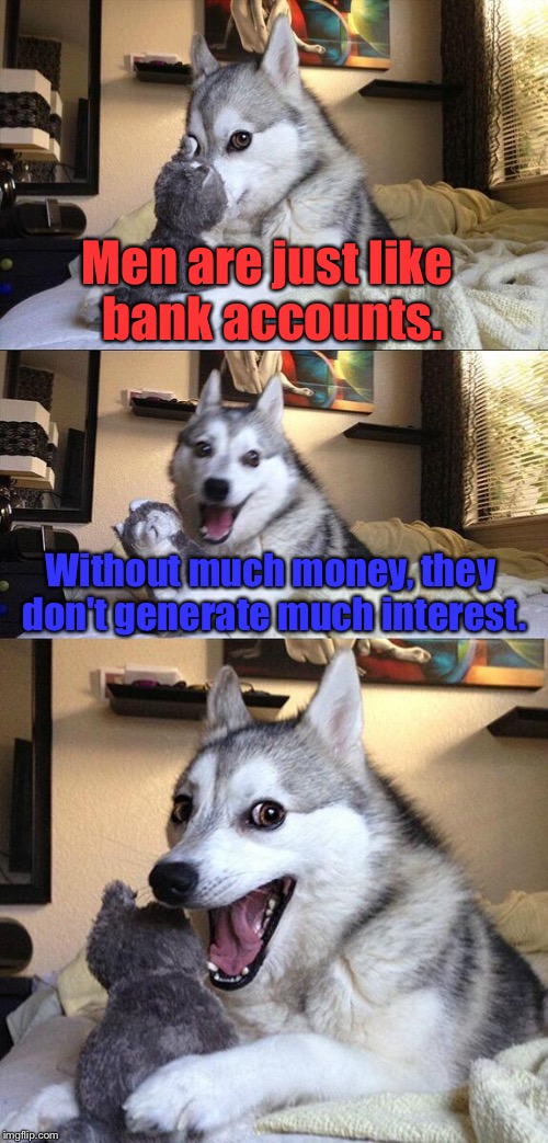 Man Similarity. | Men are just like bank accounts. Without much money, they don't generate much interest. | image tagged in memes,bad pun dog,man,funny,interest | made w/ Imgflip meme maker
