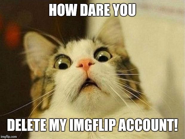 Scared Cat | HOW DARE YOU; DELETE MY IMGFLIP ACCOUNT! | image tagged in memes,scared cat | made w/ Imgflip meme maker