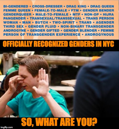 Officially Recognized by Mayor Bill De Blasio | OFFICIALLY RECOGNIZED GENDERS IN NYC; SO, WHAT ARE YOU? | image tagged in transgender,political correctness,nyc | made w/ Imgflip meme maker