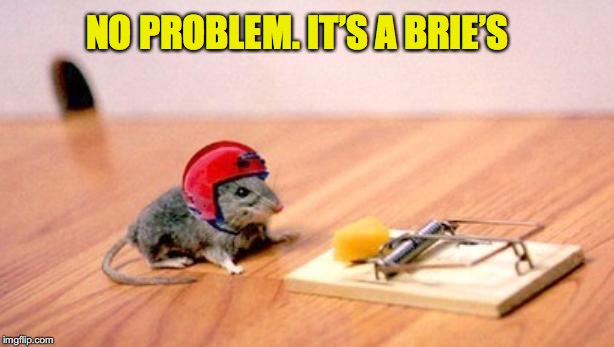 Snap it up | NO PROBLEM. IT’S A BRIE’S | image tagged in mouse trap,cheese | made w/ Imgflip meme maker