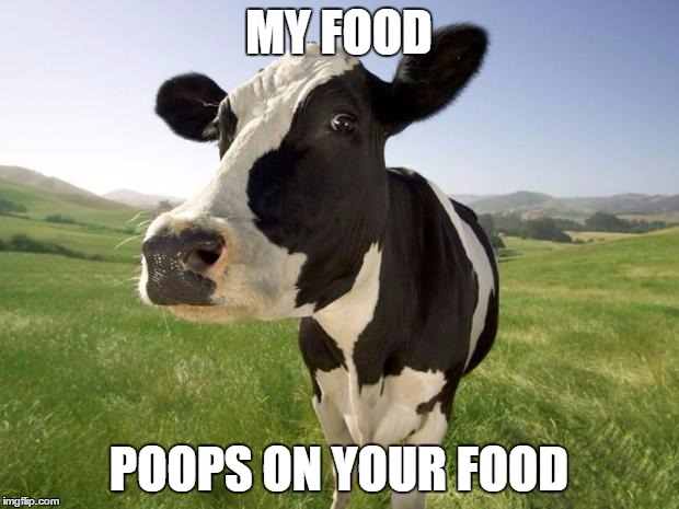 Hey Vegans. | MY FOOD; POOPS ON YOUR FOOD | image tagged in cow,vegan | made w/ Imgflip meme maker