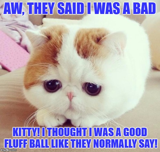 Sad Cat | AW, THEY SAID I WAS A BAD; KITTY! I THOUGHT I WAS A GOOD FLUFF BALL LIKE THEY NORMALLY SAY! | image tagged in sad cat | made w/ Imgflip meme maker