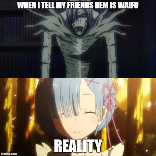 REM IS WAIFU | WHEN I TELL MY FRIENDS REM IS WAIFU; REALITY | image tagged in deathnote,rezero,anime | made w/ Imgflip meme maker