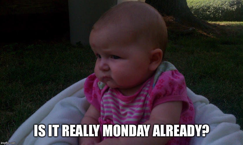Monday | IS IT REALLY MONDAY ALREADY? | image tagged in monday | made w/ Imgflip meme maker
