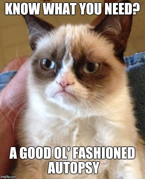 Grumpy Cat | KNOW WHAT YOU NEED? A GOOD OL' FASHIONED AUTOPSY | image tagged in memes,grumpy cat | made w/ Imgflip meme maker