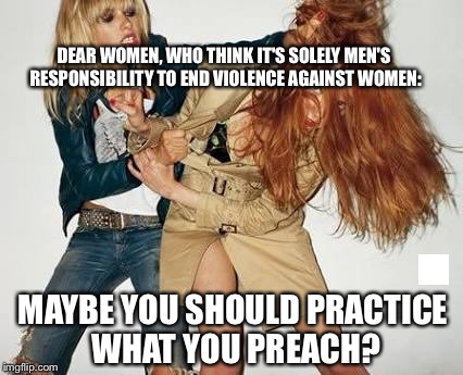 Cat Fight | DEAR WOMEN, WHO THINK IT'S SOLELY MEN'S RESPONSIBILITY TO END VIOLENCE AGAINST WOMEN:; MAYBE YOU SHOULD PRACTICE WHAT YOU PREACH? | image tagged in cat fight | made w/ Imgflip meme maker