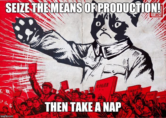 First Priority | SEIZE THE MEANS OF PRODUCTION! THEN TAKE A NAP | image tagged in chairman meow motivational | made w/ Imgflip meme maker