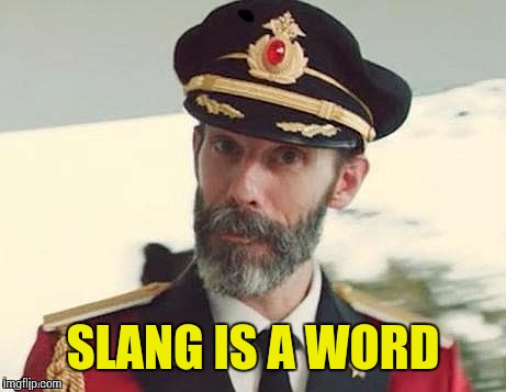 Captain Obvious | SLANG IS A WORD | image tagged in captain obvious | made w/ Imgflip meme maker