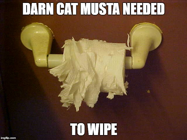 Cat scratch TP | DARN CAT MUSTA NEEDED; TO WIPE | image tagged in cats | made w/ Imgflip meme maker