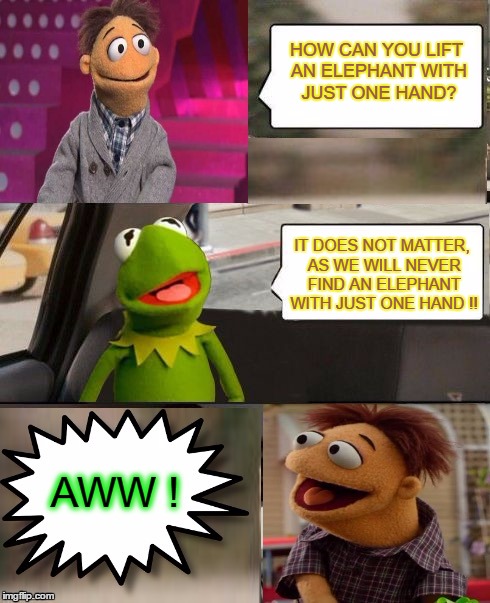 Muppets  | HOW CAN YOU LIFT AN ELEPHANT WITH JUST ONE HAND? IT DOES NOT MATTER, AS WE WILL NEVER FIND AN ELEPHANT WITH JUST ONE HAND !! AWW ! | image tagged in muppets | made w/ Imgflip meme maker