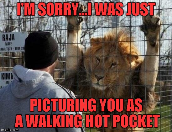 Do you ever wonder what zoo animals are thinking when they interact with us? | I'M SORRY...I WAS JUST; PICTURING YOU AS A WALKING HOT POCKET | image tagged in lion,memes,walking hot pocket,funny,animals,funny animals | made w/ Imgflip meme maker