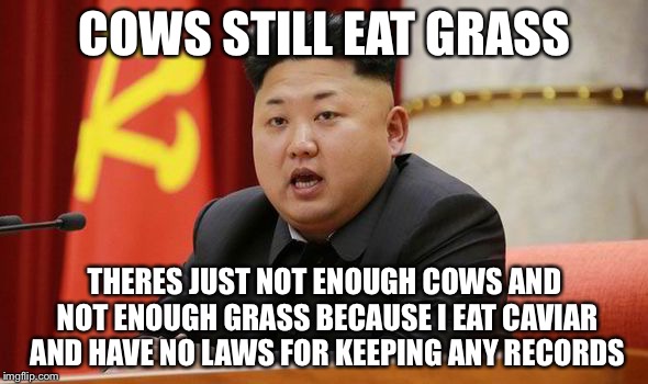 Kim Jong Un | COWS STILL EAT GRASS THERES JUST NOT ENOUGH COWS AND NOT ENOUGH GRASS BECAUSE I EAT CAVIAR AND HAVE NO LAWS FOR KEEPING ANY RECORDS | image tagged in kim jong un | made w/ Imgflip meme maker