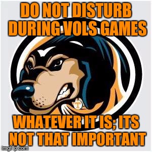 Tennessee Football | DO NOT DISTURB DURING VOLS GAMES; WHATEVER IT IS; ITS NOT THAT IMPORTANT | image tagged in college football,university of tennessee,funny memes | made w/ Imgflip meme maker