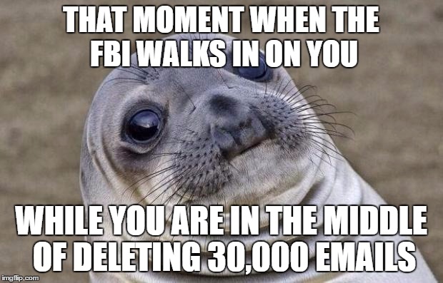 Awkward Moment Sealion | THAT MOMENT WHEN THE FBI WALKS IN ON YOU; WHILE YOU ARE IN THE MIDDLE OF DELETING 30,000 EMAILS | image tagged in memes,awkward moment sealion | made w/ Imgflip meme maker