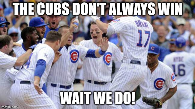 Cubs | THE CUBS DON'T ALWAYS WIN; WAIT WE DO! | image tagged in cubs | made w/ Imgflip meme maker