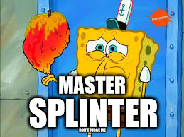 Master Splinter |  MASTER; SPLINTER; DON'T JUDGE ME | image tagged in master splinter | made w/ Imgflip meme maker