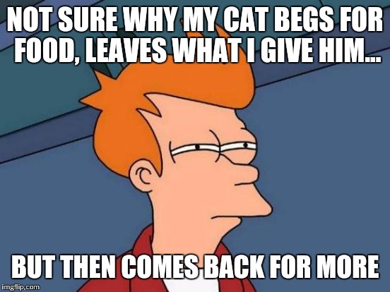 Futurama Fry | NOT SURE WHY MY CAT BEGS FOR FOOD, LEAVES WHAT I GIVE HIM... BUT THEN COMES BACK FOR MORE | image tagged in memes,futurama fry | made w/ Imgflip meme maker