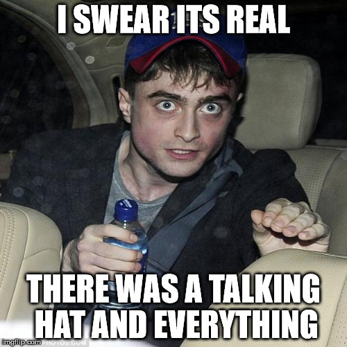 harry potter crazy | I SWEAR ITS REAL; THERE WAS A TALKING HAT AND EVERYTHING | image tagged in harry potter crazy | made w/ Imgflip meme maker