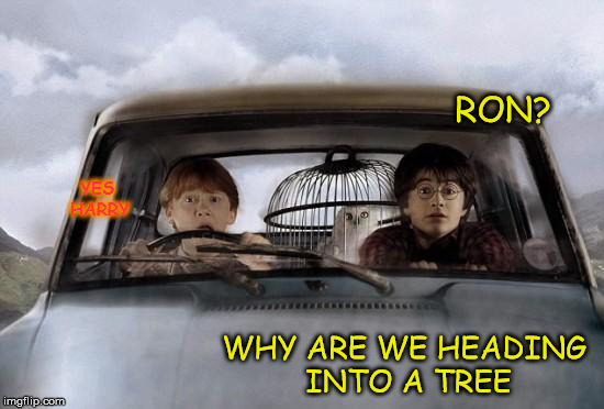 Harry potter uber | RON? YES HARRY; WHY ARE WE HEADING INTO A TREE | image tagged in harry potter uber | made w/ Imgflip meme maker