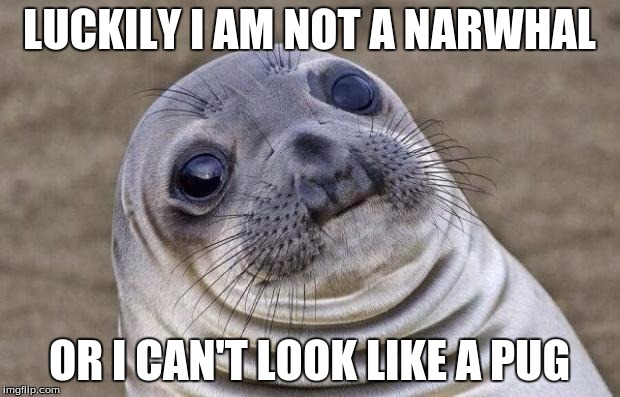 Awkward Moment Sealion Meme | LUCKILY I AM NOT A NARWHAL; OR I CAN'T LOOK LIKE A PUG | image tagged in memes,awkward moment sealion | made w/ Imgflip meme maker