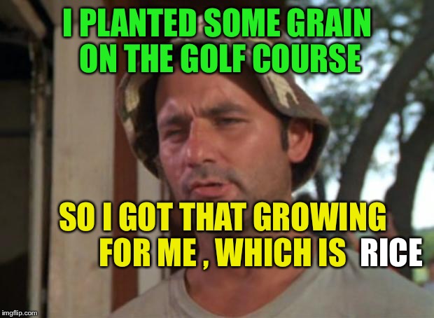 So I Got That Goin For Me Which Is Nice | I PLANTED SOME GRAIN ON THE GOLF COURSE; SO I GOT THAT GROWING FOR ME , WHICH IS; RICE | image tagged in memes,so i got that goin for me which is nice | made w/ Imgflip meme maker